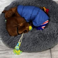 Photo of Evie And Ella