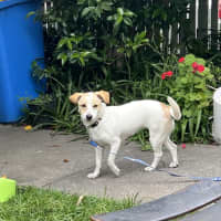 Photo of Bonnie Jrt