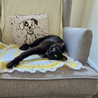 Photo of Perdie