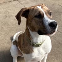 Photo of Floyd