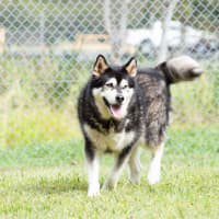 Photo of Cardie