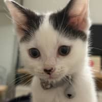 Photo of Josie (With Margo)