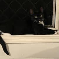 Photo of Rocket