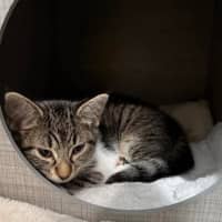 Photo of Kira