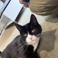 Photo of Pishi & Maloos