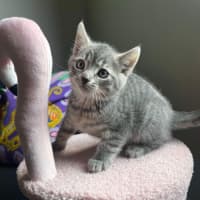 Photo of Spyro & Smokey