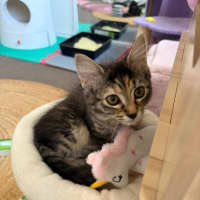 Photo of Francesca Moo