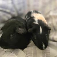 Photo of Marco & Polo