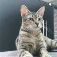 Photo of Ellie (Eleanor)