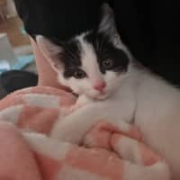 Photo of Eddie & Cherry 