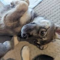 Photo of Judd Nelson