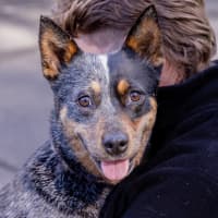 Photo of Kira