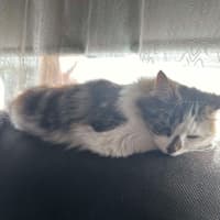 Photo of Candlestick