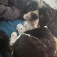 Photo of Shuna