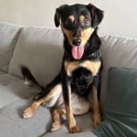 Photo of Star