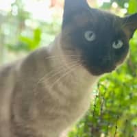 Photo of Franklin