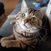 Photo of Mateo
