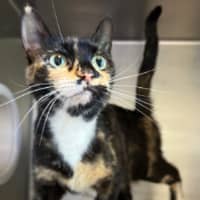 Photo of Mumma Ginge