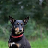 Photo of Alice