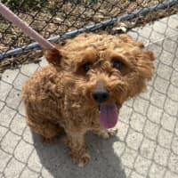 Photo of Bentley