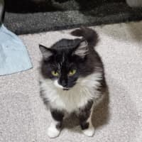 Photo of Mopsy
