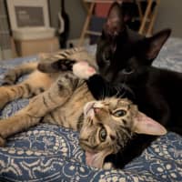 Photo of Millie & Zoe