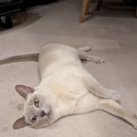 Photo of Justi & Moni