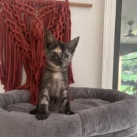 Photo of Matilda Meet Me@Petstock Hastings Store 17/5