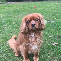 Photo of Toast And Nanna