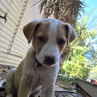 Photo of Jewel