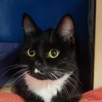 Photo of Cali