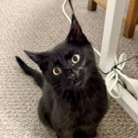Photo of Max