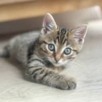 Photo of Bueno