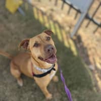 Photo of Rizzo