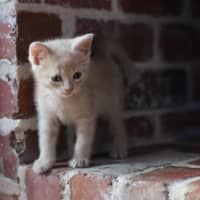 Photo of Ginny ❤️