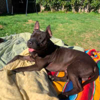 Photo of Wrinkle