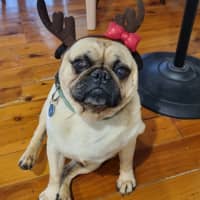 Photo of Doug