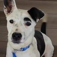 Photo of Jenga
