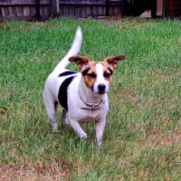 Photo of Coco Newhaven