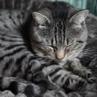 Photo of Tom
