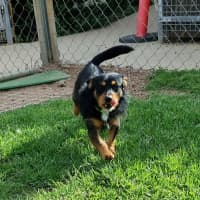Photo of Rocket
