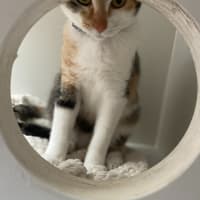 Photo of Gucci (60039)