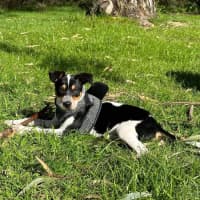 Photo of Arthur