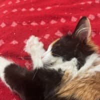 Photo of Edie