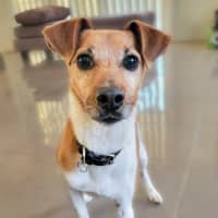 Photo of Sunny 