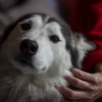 Photo of Quattro