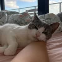 Photo of Alice