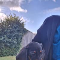 Photo of Milo