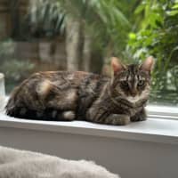 Photo of Zoe