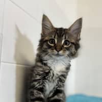 Photo of Ally